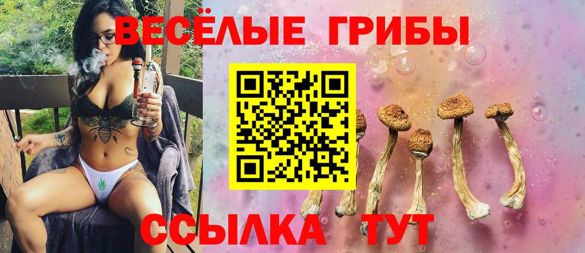 Псилоцибиновые грибы Psilocybine cubensis Улан-Удэ